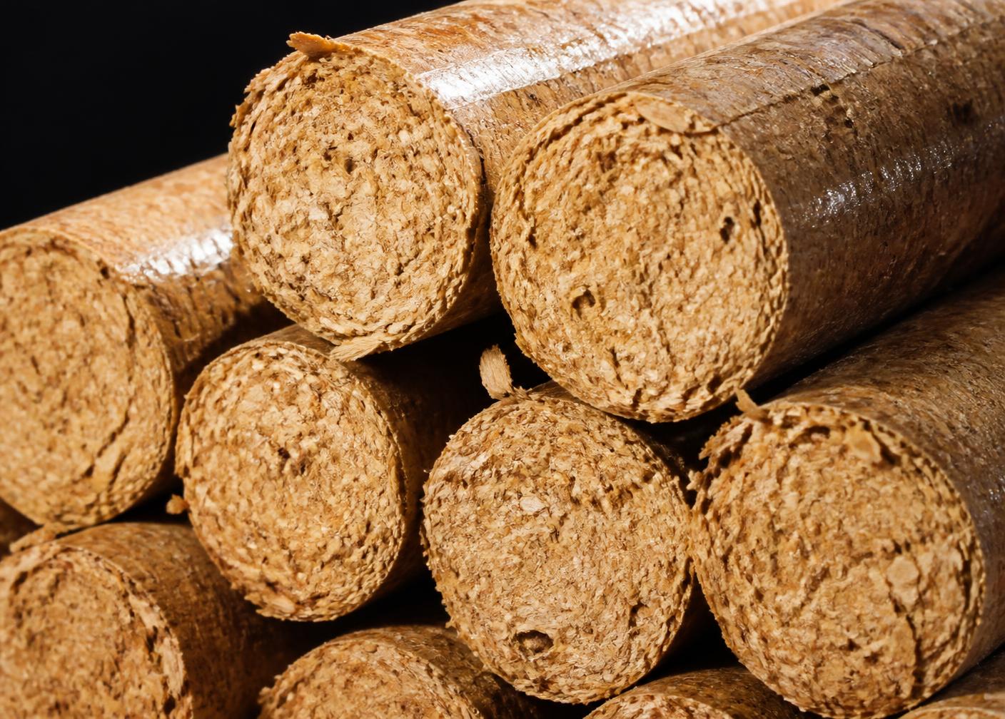 Biomass fuel briquettes