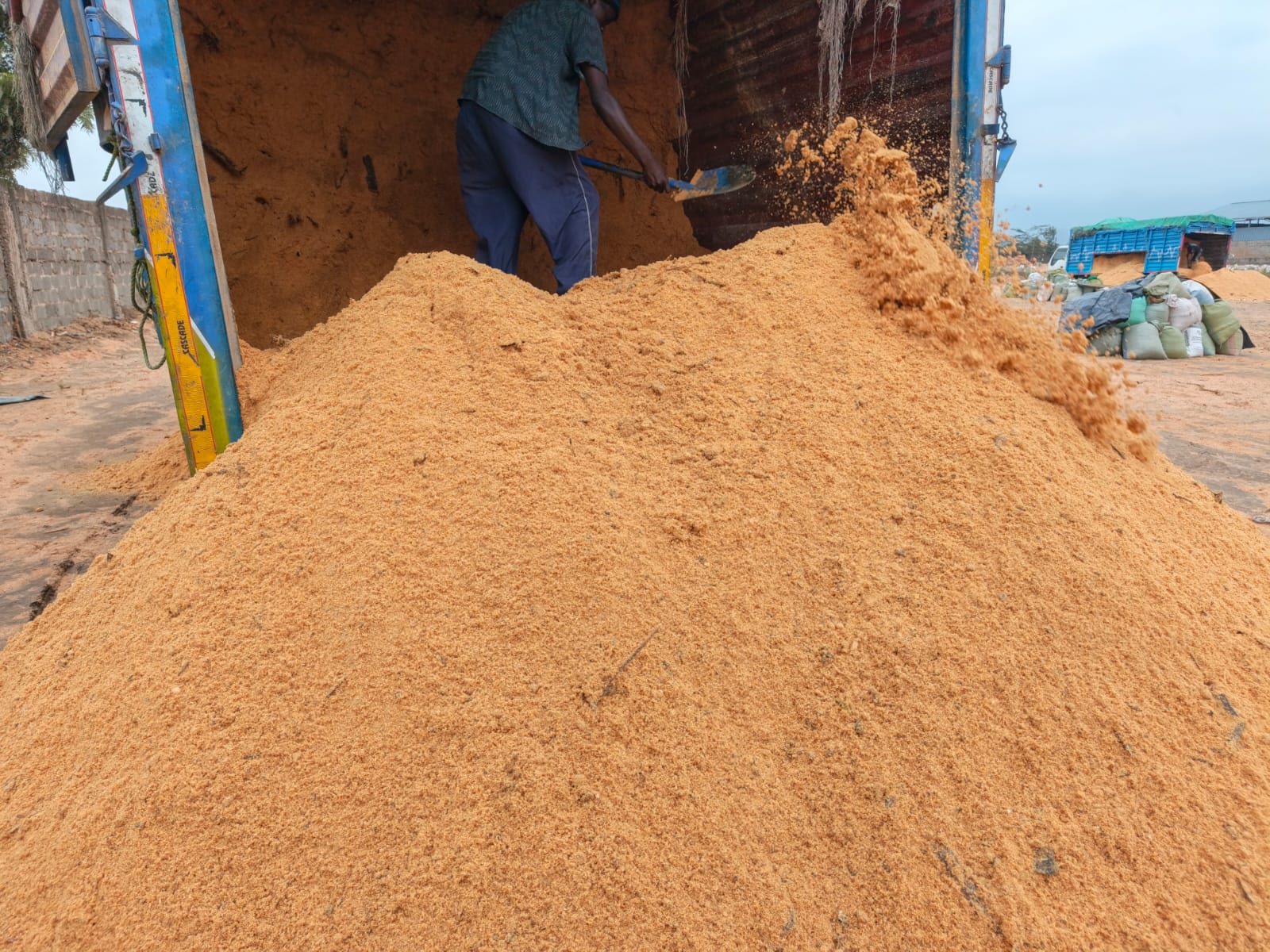 Processing biomass for briquetting