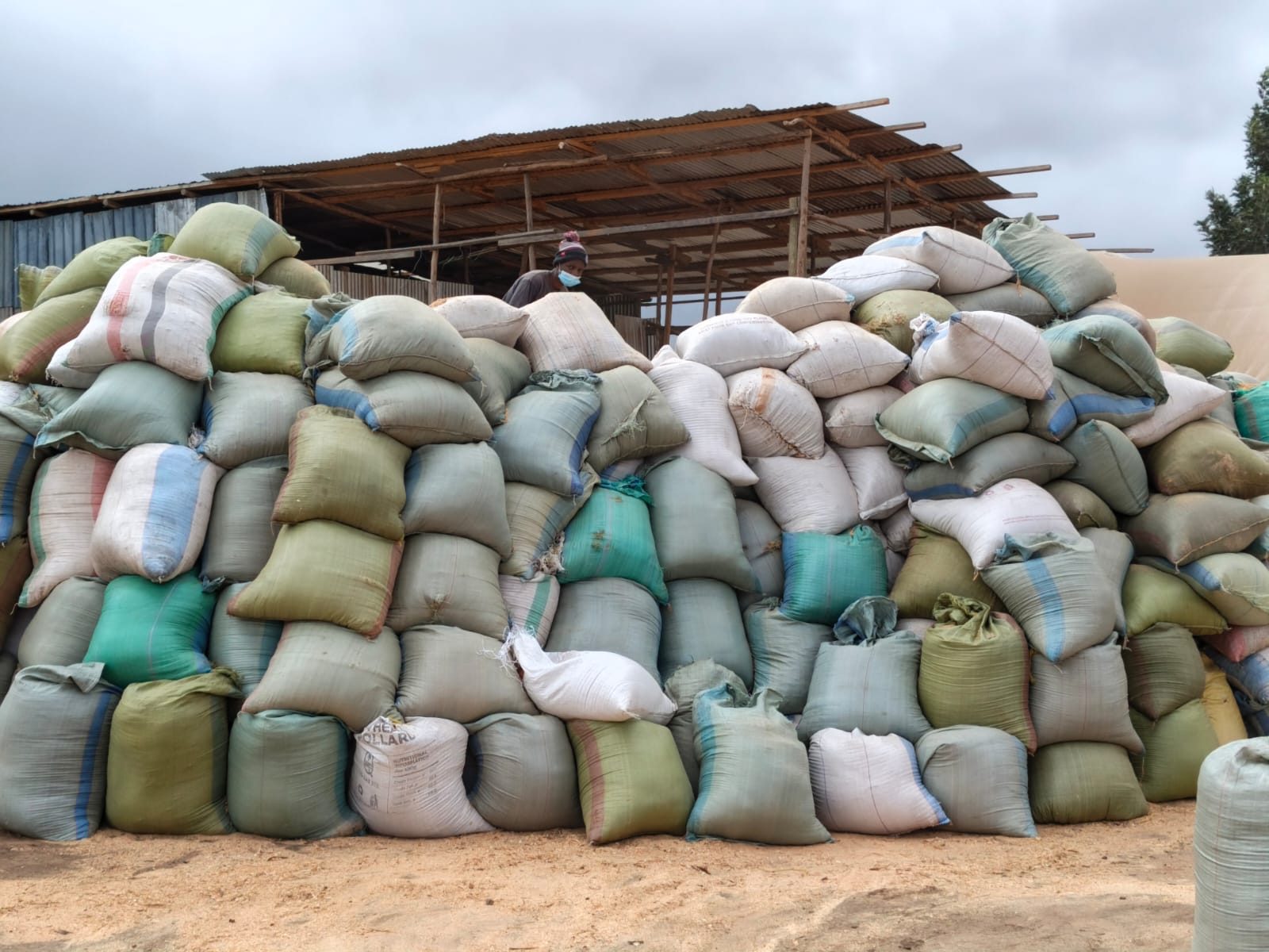 Bagged briquettes ready for customers
